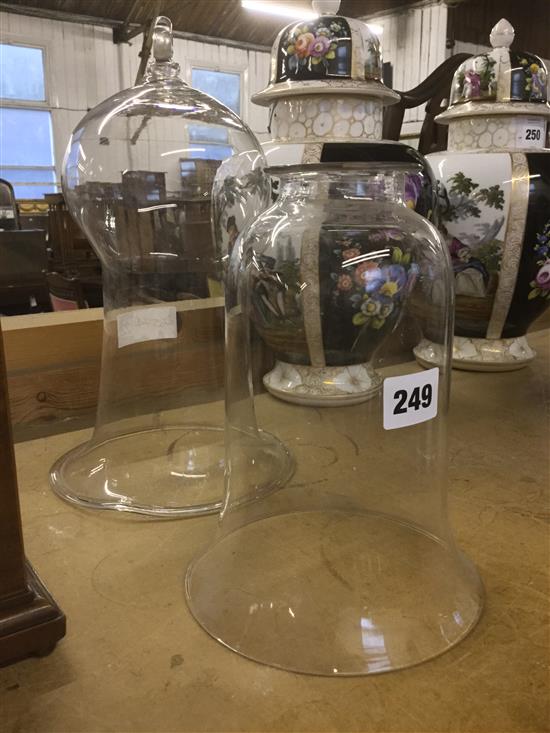 Victorian propagating glass bell jar